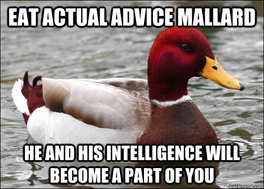 eat actual advice mallard he and his intelligence will becom - Malicious Advice Mallard