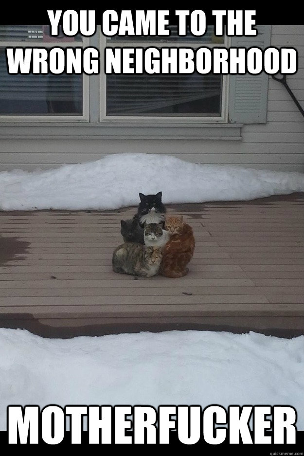 you came to the wrong neighborhood motherfucker -