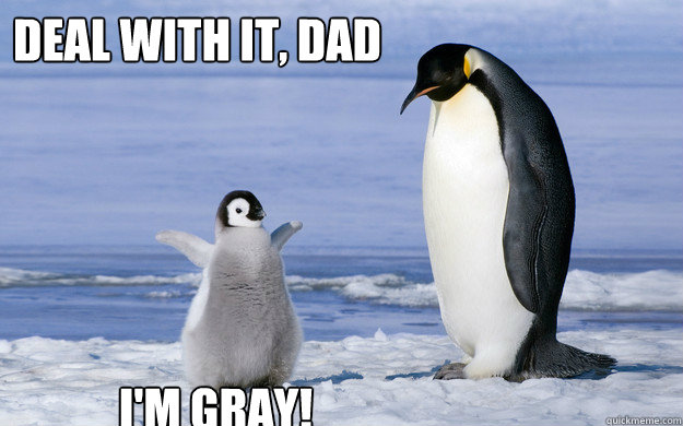 deal with it dad im gray - Coming Out Penguin