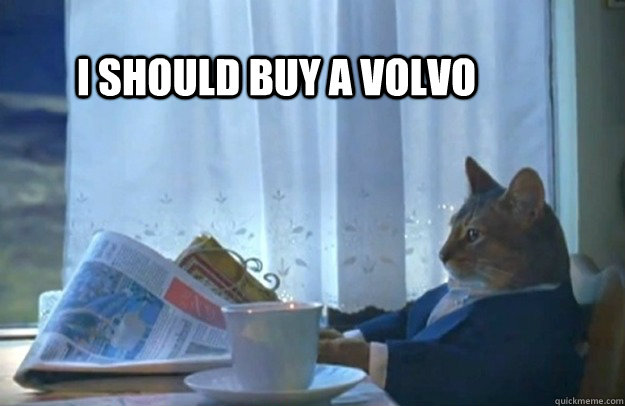 i should buy a volvo - Sophisticated Cat