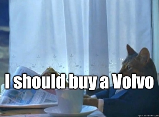 I should buy a Volvo - Sophisticated cat