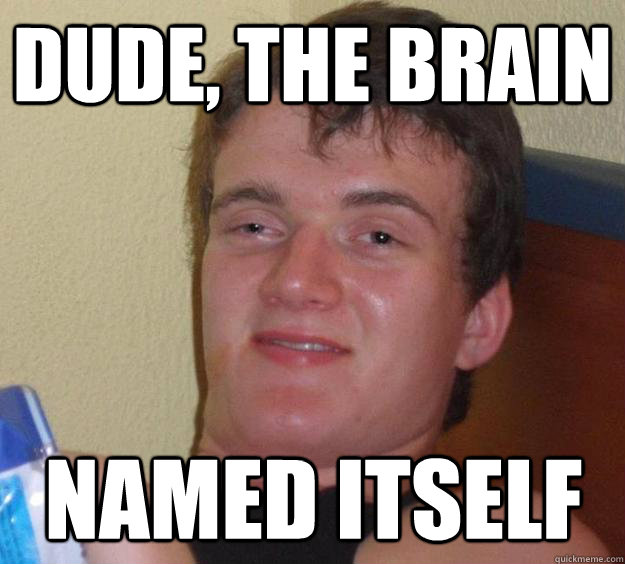 dude the brain named itself - 10 Guy