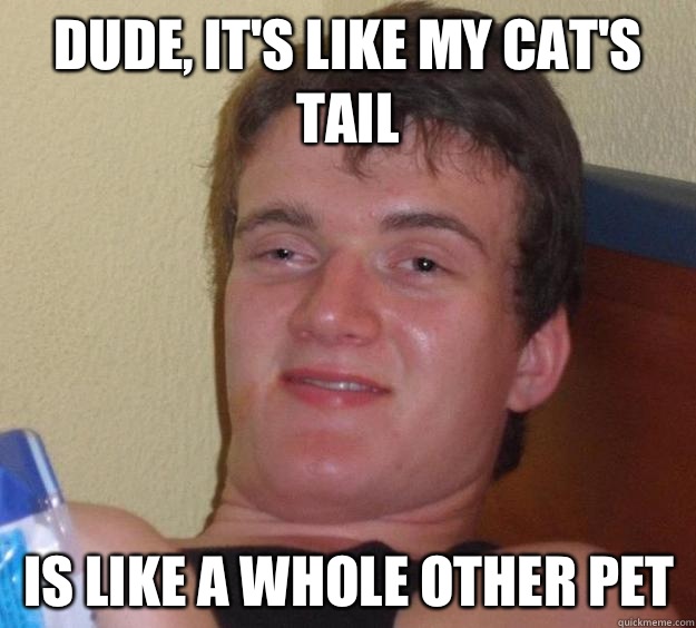 Dude its like my cats tail Is like a whole other pet - 10 Guy