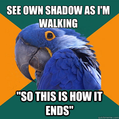 see own shadow as im walking so this is how it ends - Paranoid Parrot