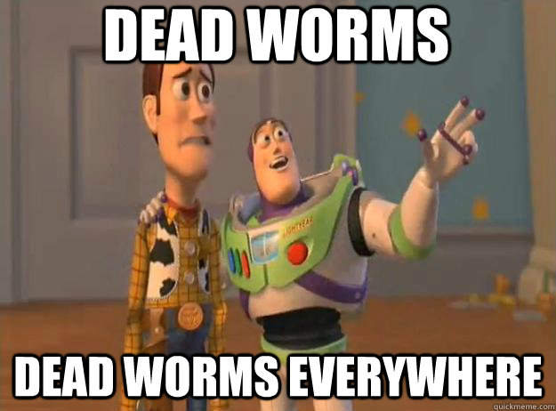 dead worms dead worms everywhere - Prox Everywhere