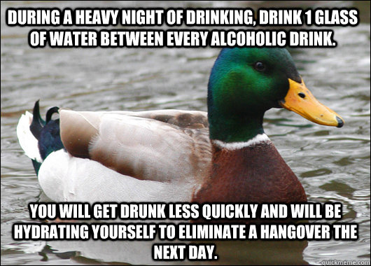 during a heavy night of drinking drink 1 glass of water bet - Actual Advice Mallard