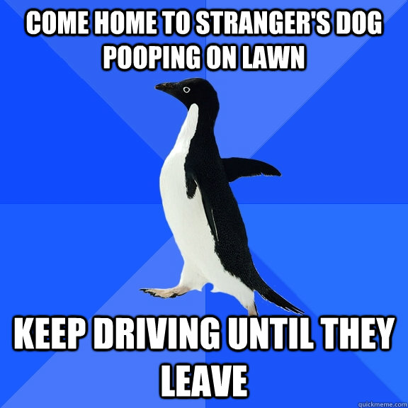 come home to strangers dog pooping on lawn keep driving unt - Socially Awkward Penguin