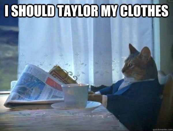 i should taylor my clothes - morning realization newspaper cat meme