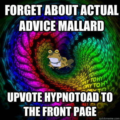 forget about actual advice mallard upvote hypnotoad to the f -