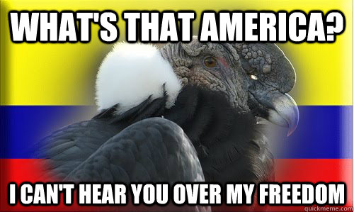 whats that america i cant hear you over my freedom -