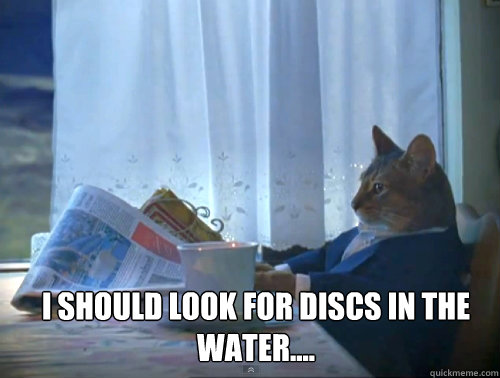 i should look for discs in the water - 1 Cat