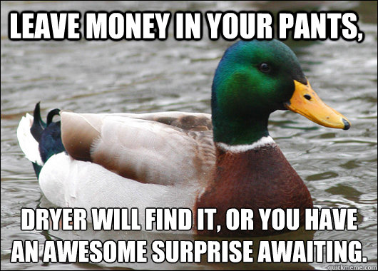 leave money in your pants dryer will find it or you have a - Actual Advice Mallard