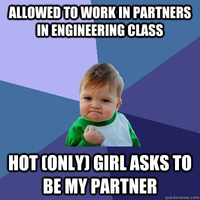 allowed to work in partners in engineering class hot only - Success Kid