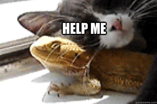 help me -