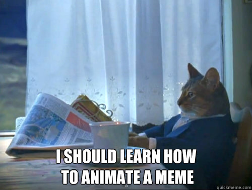 i should learn how to animate a meme - The One Percent Cat