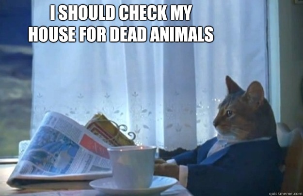I should check my house for dead animals - Sophisticated Cat