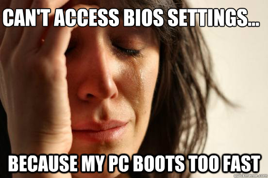 cant access bios settings because my pc boots too fast - First World Problems