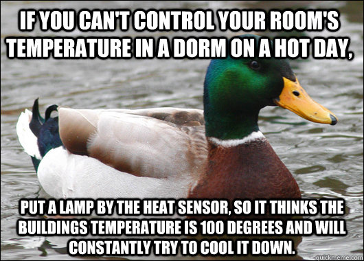 if you cant control your rooms temperature in a dorm on a - Actual Advice Mallard