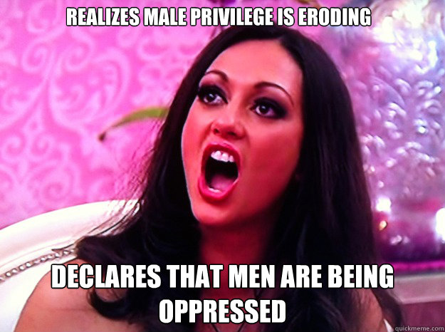 realizes male privilege is eroding declares that men are bei - Feminist Nazi