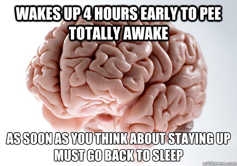 wakes up 4 hours early to pee totally awake as soon as you t - Scumbag Brain