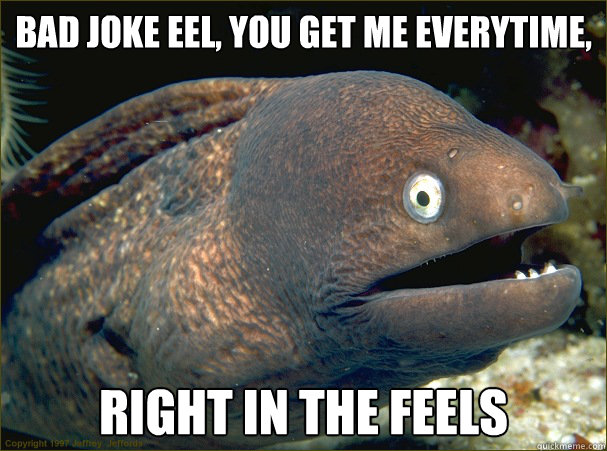 bad joke eel you get me everytime right in the feels - Bad Joke Eel