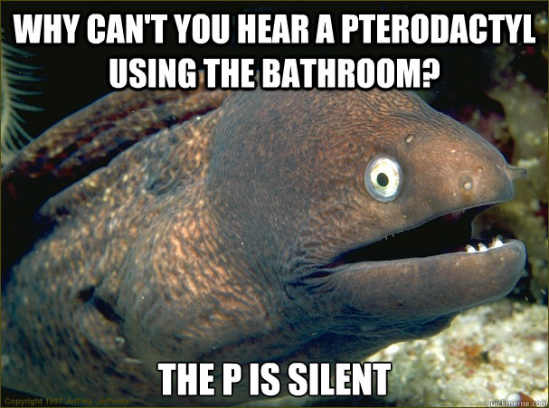 why cant you hear a pterodactyl using the bathroom the p i - Bad Joke Eel