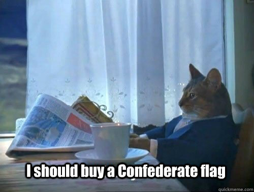 i should buy a confederate flag - Fancy Cat