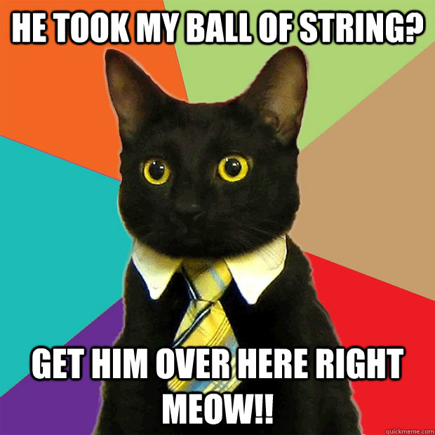 he took my ball of string get him over here right meow - Business Cat