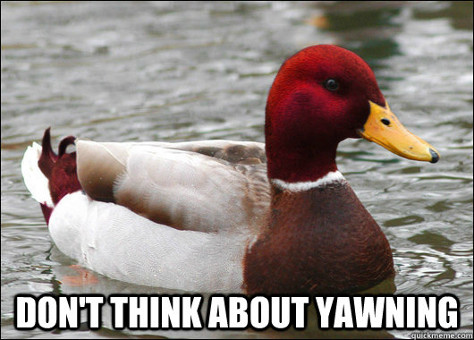dont think about yawning - Malicious Advice Mallard