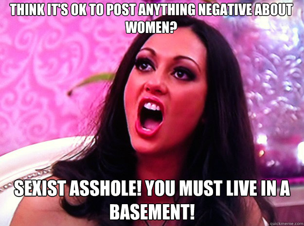 think its ok to post anything negative about women sexist - Feminist Nazi