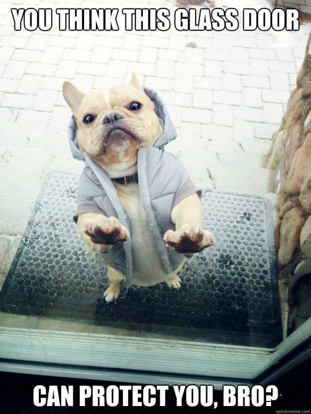 you think this glass door can protect you bro -