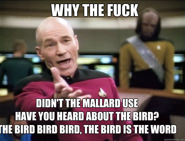 why the fuck didnt the mallard use have you heard about the - Piccard 2