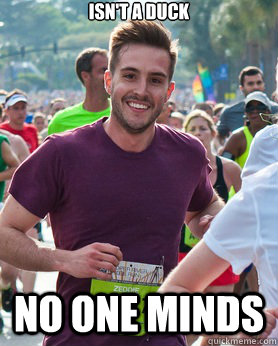 isnt a duck no one minds - Ridiculously photogenic guy