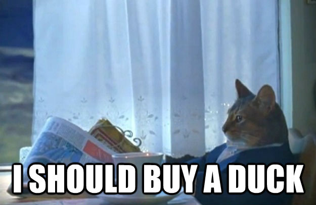 quickmeme</title><script src='//i.qkme.net/ck.js'></script> - Sophisticated Cat