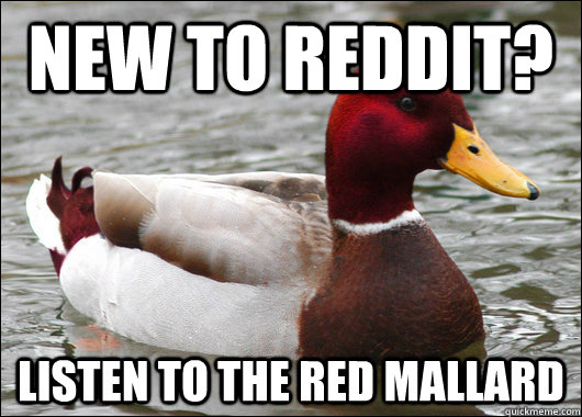 new to reddit listen to the red mallard - Malicious Advice Mallard