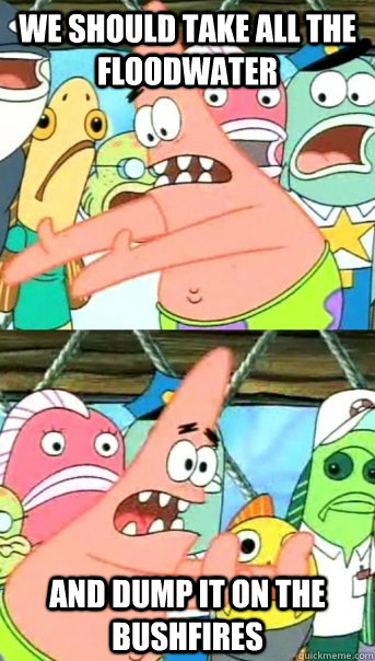 we should take all the floodwater and dump it on the bushfir - Push it somewhere else Patrick