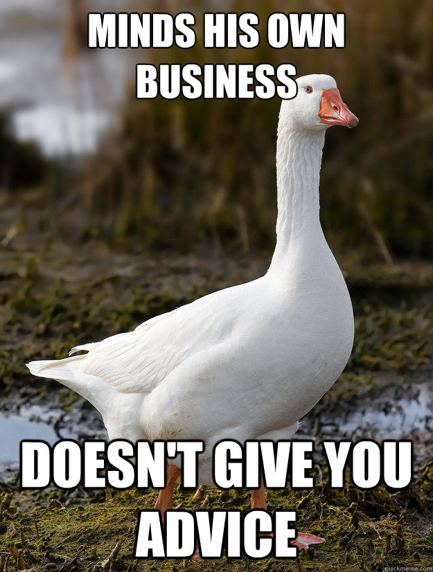 minds his own business doesnt give you advice - Good Guy Goose