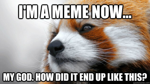 im a meme now my god how did it end up like this -