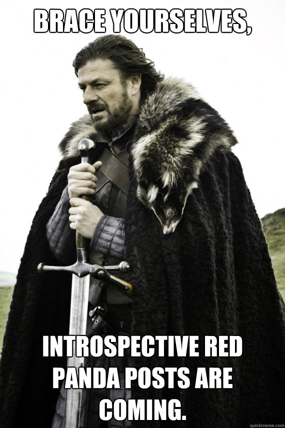 brace yourselves introspective red panda posts are coming - Brace yourself