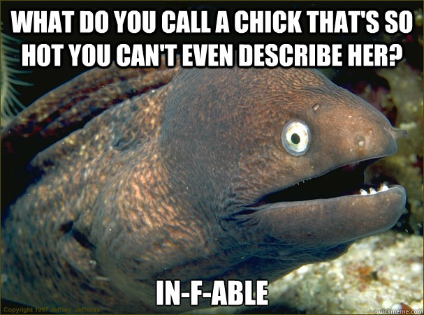 what do you call a chick thats so hot you cant even descri - Bad Joke Eel