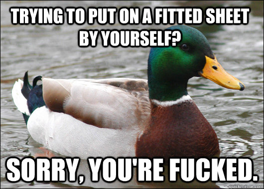 trying to put on a fitted sheet by yourself sorry youre f - Actual Advice Mallard