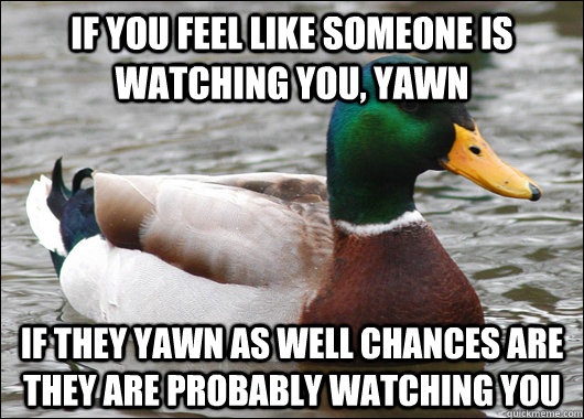 if you feel like someone is watching you yawn if they yawn - Actual Advice Mallard
