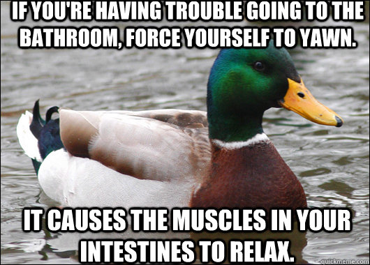 if youre having trouble going to the bathroom force yourse - Actual Advice Mallard