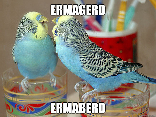 ermagerd ermaberd - ermaberd
