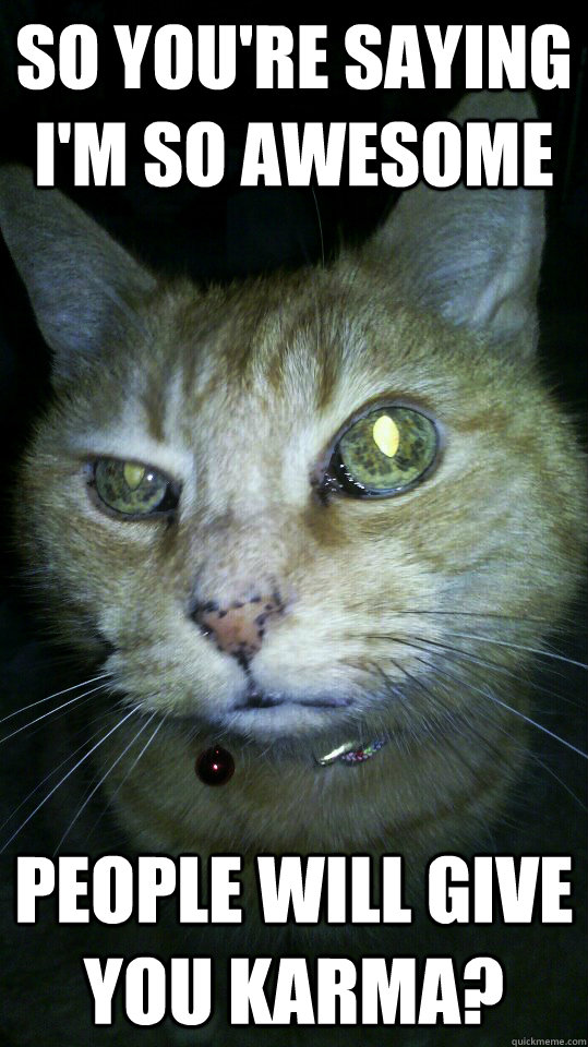 so youre saying im so awesome people will give you karma - skeptical cat