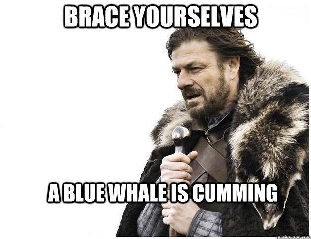 brace yourselves a blue whale is cumming - Imminent Ned
