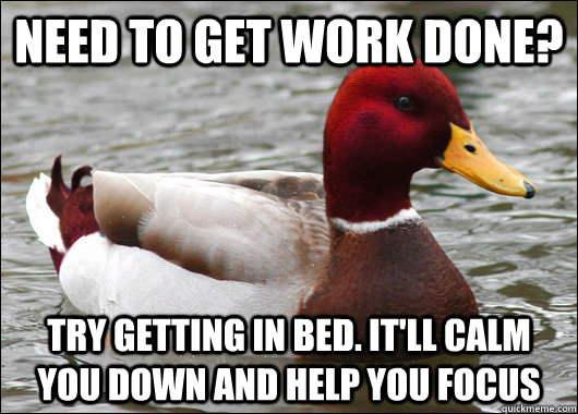 need to get work done try getting in bed itll calm you do - Malicious Advice Mallard