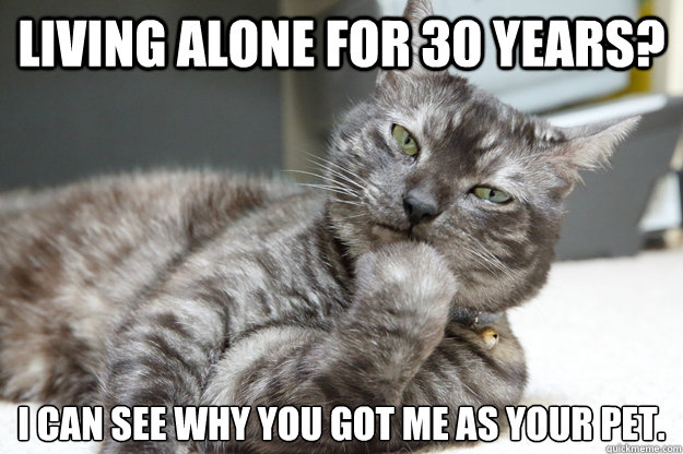 living alone for 30 years i can see why you got me as your - Not Amused Cat