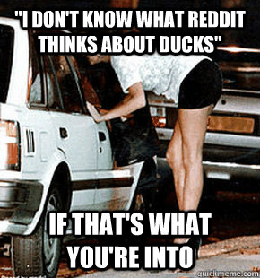 i dont know what reddit thinks about ducks if thats what - FB karma whore