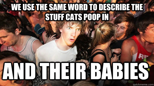 we use the same word to describe the stuff cats poop in and - Sudden Clarity Clarence